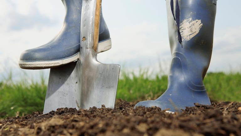 Garten im Juli Jetzt heißt es düngen gießen schneiden