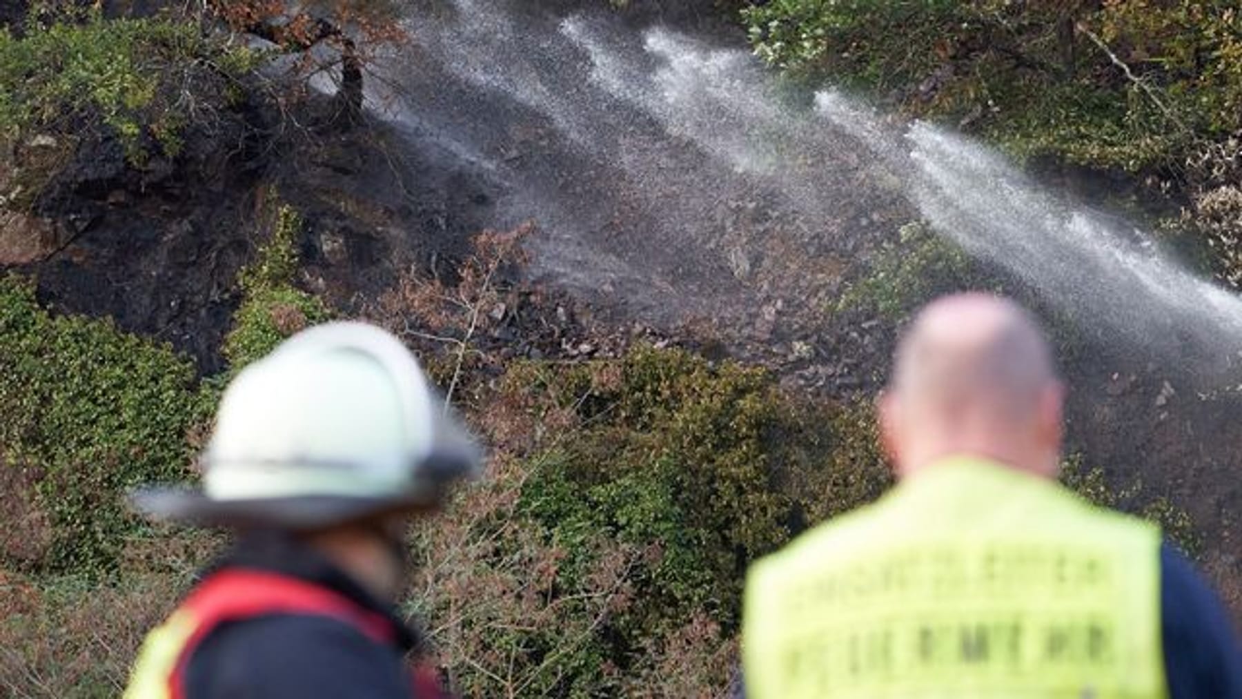 Br Nde Vernichten Rund Hektar Wald Im Jahr