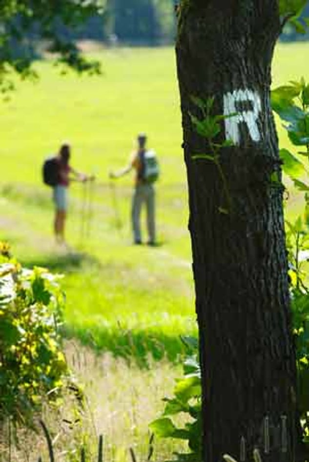 Rennsteig Wandern Durch Den Th Ringer Wald