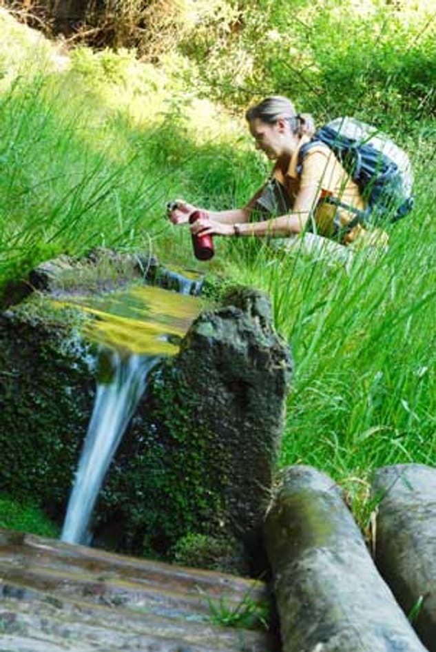 Rennsteig Wandern Durch Den Th Ringer Wald