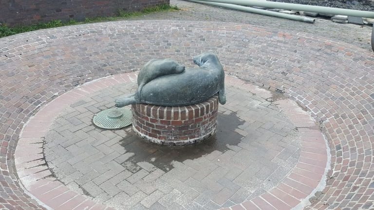 Wilhelmshaven Unbekannte Stehlen Kiloschwere Seehund Statue