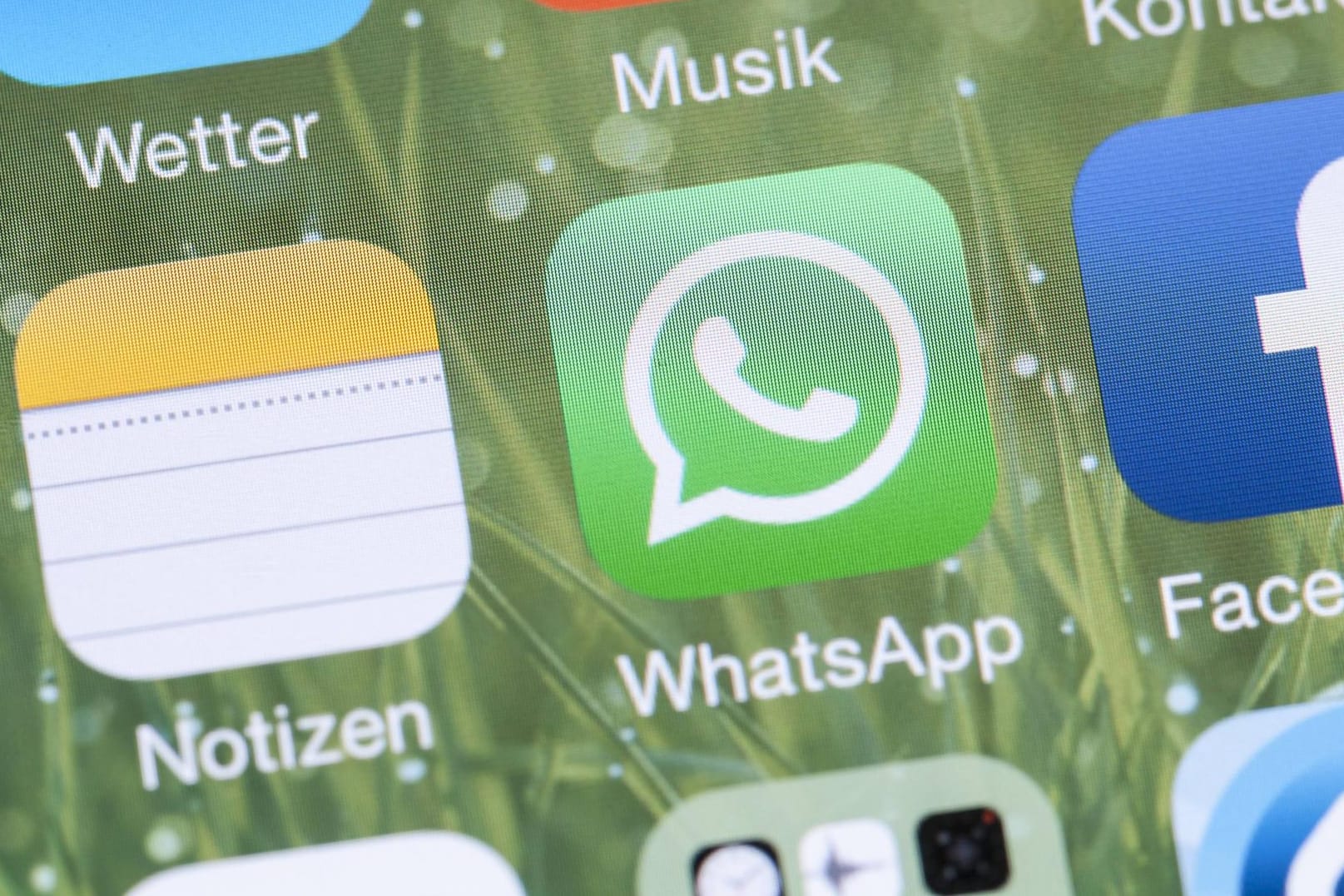 Das Logo von WhatsApp (Symbolbild): Das Löschen von Kontakten aus WhatsApp geht mit wenigen Klicks.