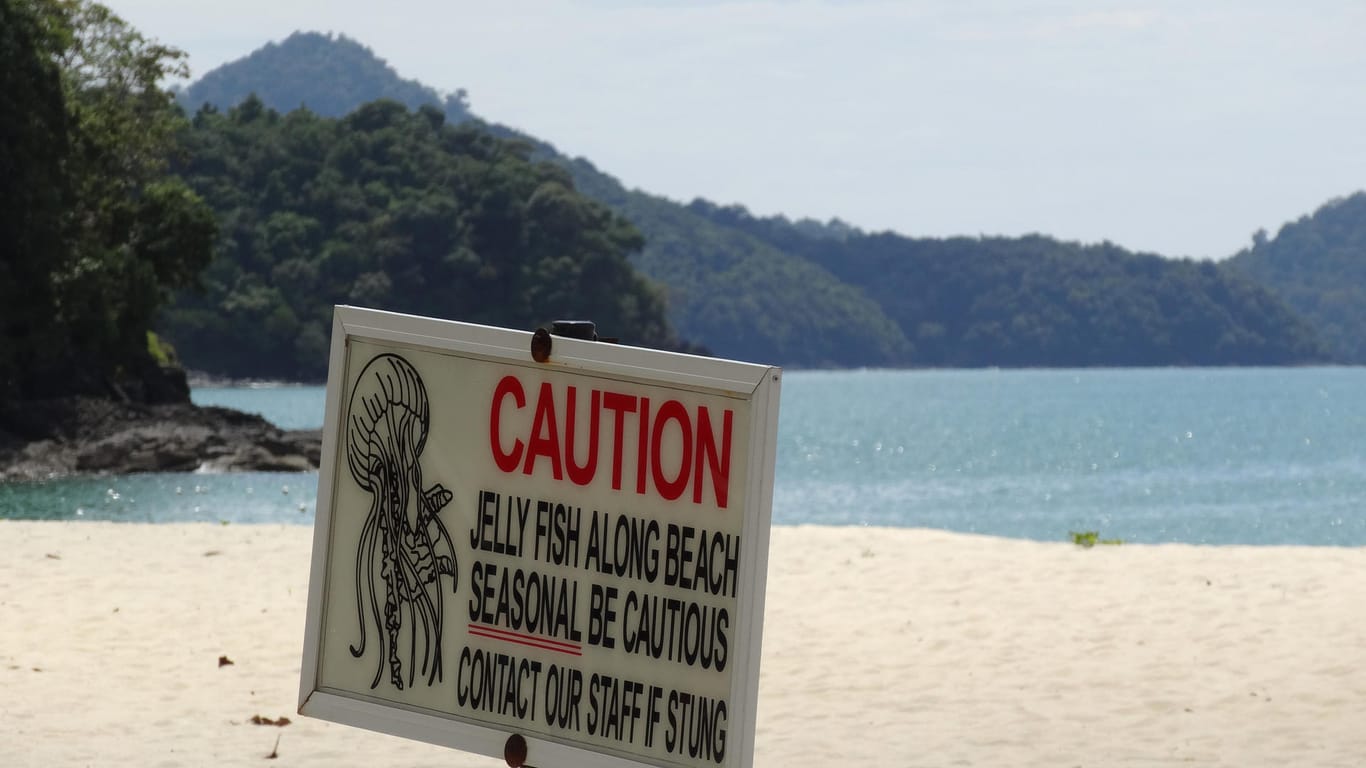 Dieses Schild am Strand von Langkawi in Malaysia warnt vor giftigen Quallen - eine Berührung kann sogar lebensgefährlich sein.