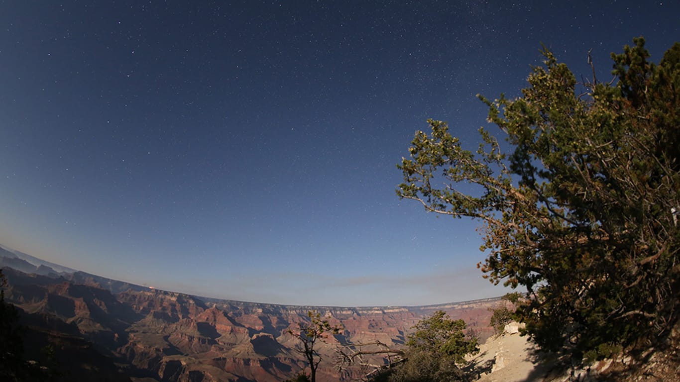 Grand Canyon mit Sternen.