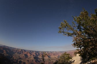 Grand Canyon mit Sternen.