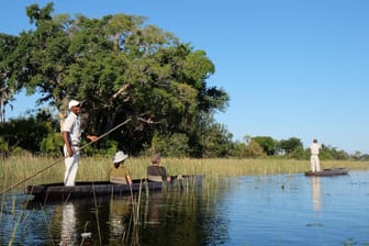 Eine Besonderheit im Okavango-Delta sind die Kanalfahrten in Einbaum-Booten, den sogenannten Mokoros.