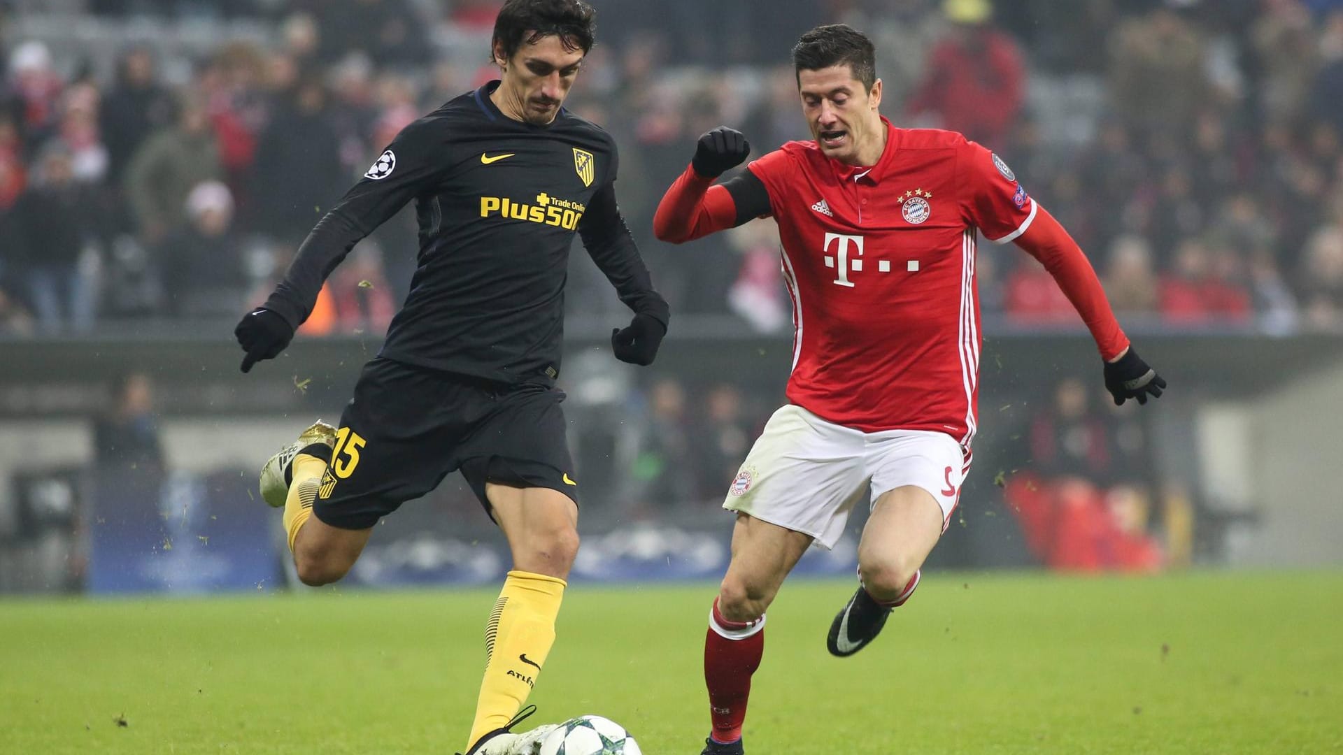 In der Champions League gehört der FC Bayern /re. Robert Lewandowski) zu den absoluten Schwergewichten. In der Champions League gehört der FC Bayern /re. Robert Lewandowski) zu den absoluten Schwergewichten.