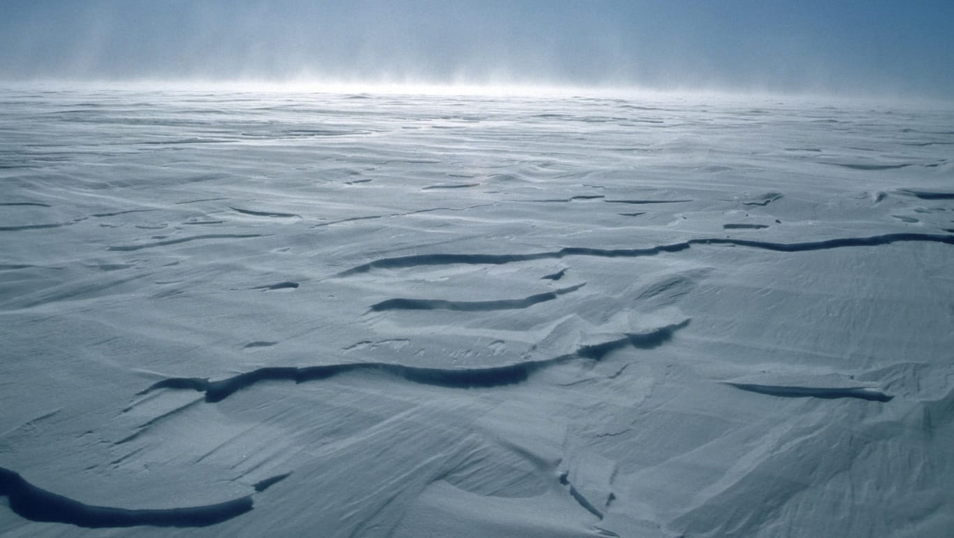 Eine 51-jährige Polin ist alleine zum Südpol gewandert.