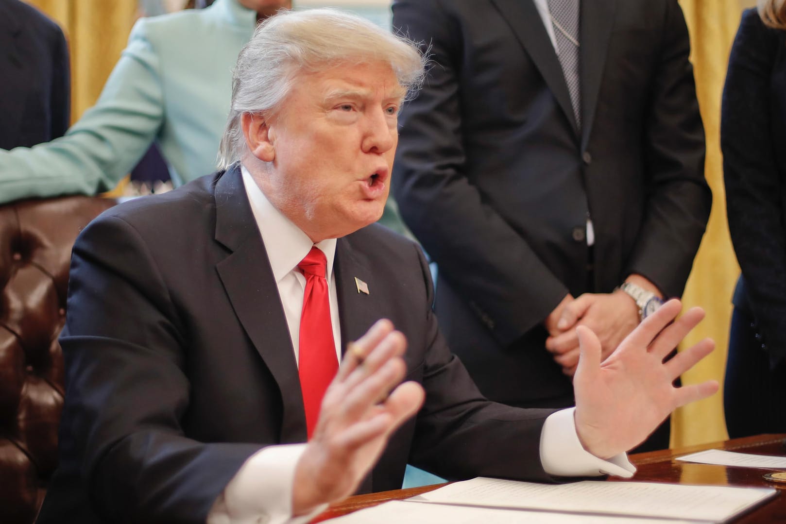 Donald Trump hat nur wenige Tage im Amt benötigt, um breiten Widerstand gegen seine Politik zu provozieren.