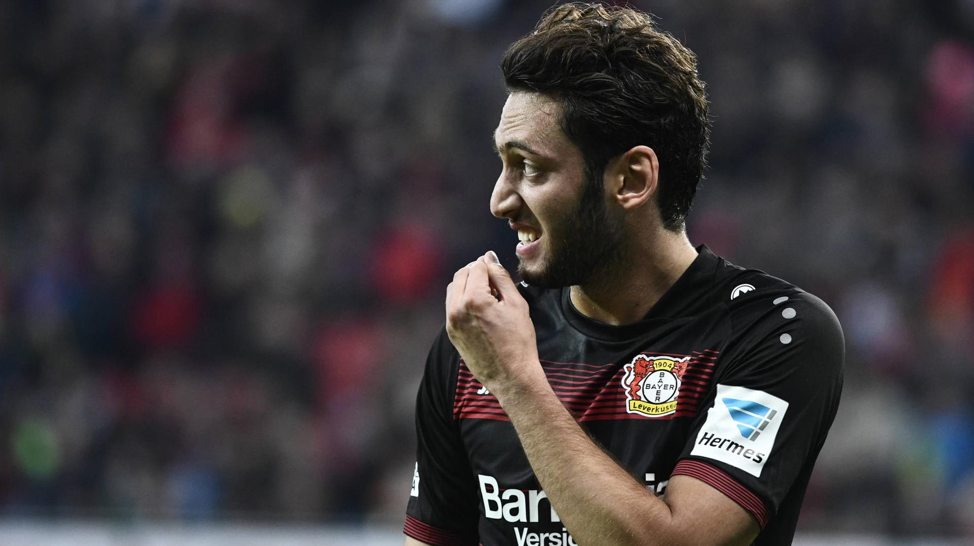 Hakan Calhanoglu muss sich einiges von Trabzonspors Vize-Präsident anhören. Hakan Calhanoglu muss sich einiges von Trabzonspors Vize-Präsident anhören.