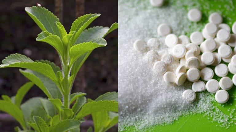 Stevia gilt als natürlicher Zuckerersatz und versüßt Limonaden und Nachspeisen.