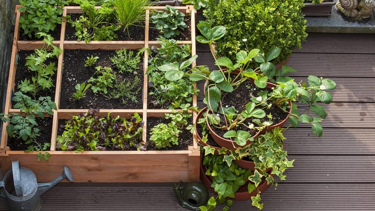 In einfachen Holzboxen können Sie einen Gemüsegarten auf dem Balkon anlegen.