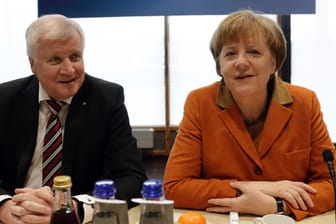 Demonstrieren Einigkeit: Horst Seehofer und Angela Merkel beim Treffen in München.