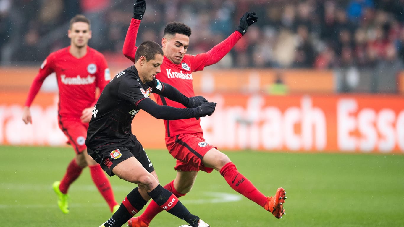 Leverkusens Javier Hernandez (li.) und Frankfurts Omar Mascarell kämpfen um den Ball.