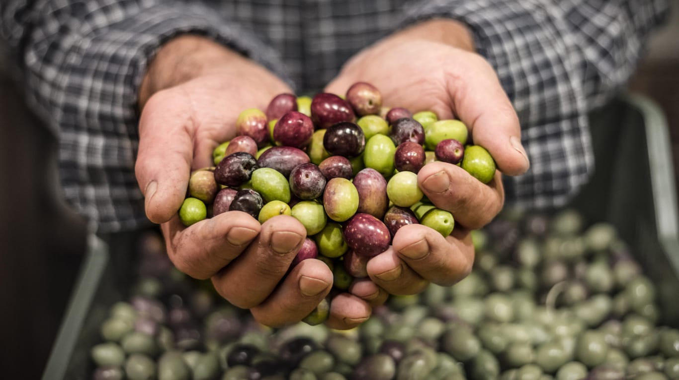 Wetterkapriolen in Südeuropa lassen die Olivenöl-Preise ansteigen.
