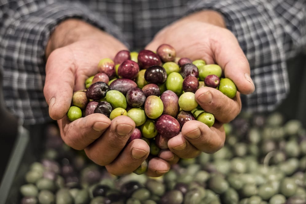 Wetterkapriolen in Südeuropa lassen die Olivenöl-Preise ansteigen.