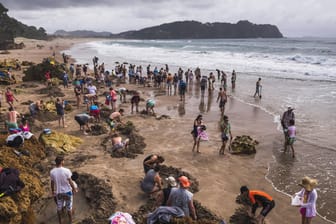 Touristen am Hot Water Beach. Einige von Neuseelands Attraktionen sind fast immer stark besucht.
