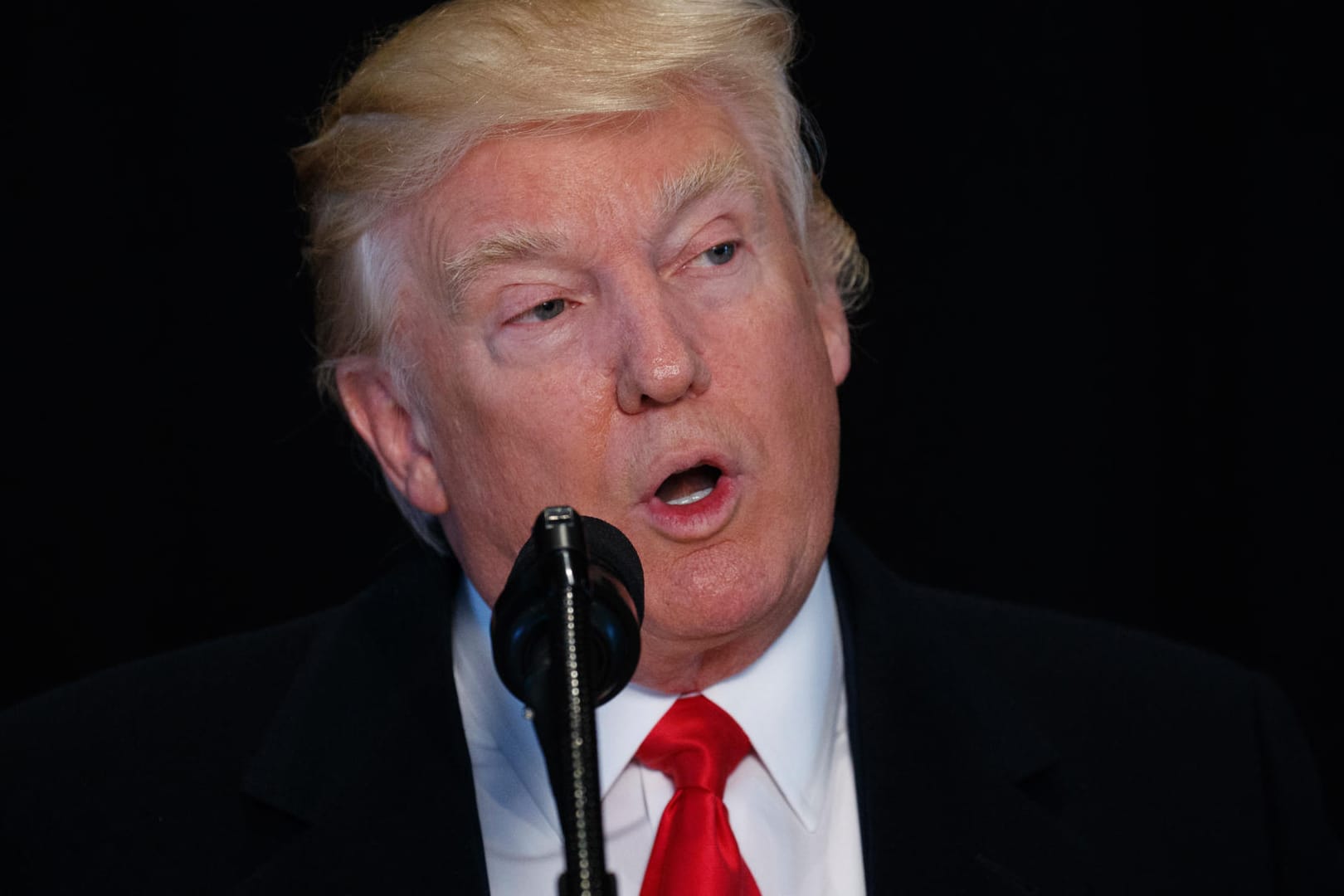 Aus Donald Trumps Mund kommen nachweislich häufig Lügen und falsche Behauptungen.