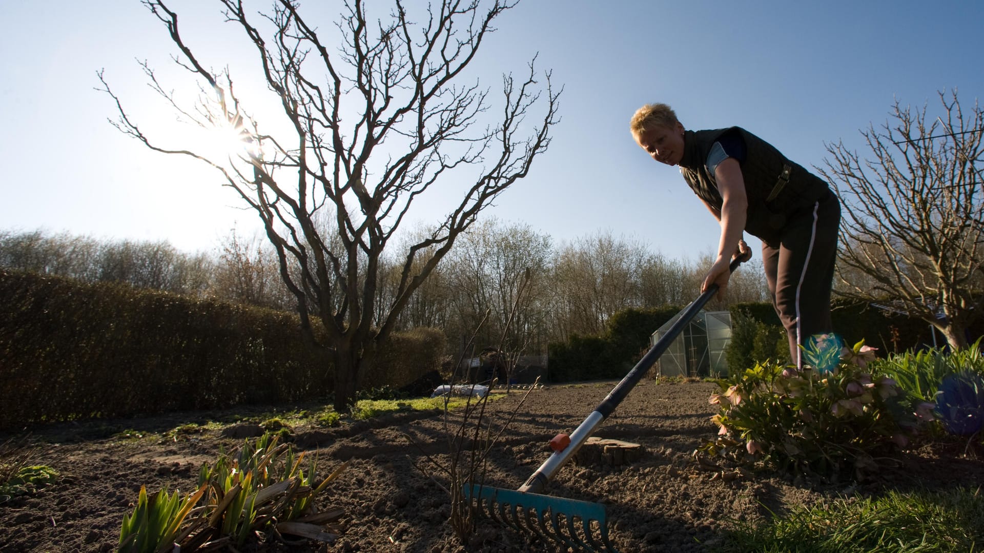 Im Frühjahr braucht der Gartenboden etwas Pflege.