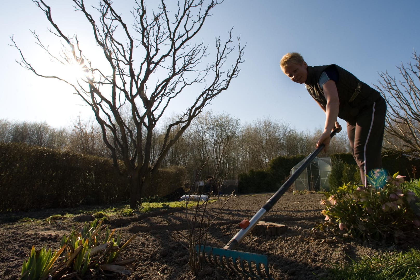 Im Frühjahr braucht der Gartenboden etwas Pflege.