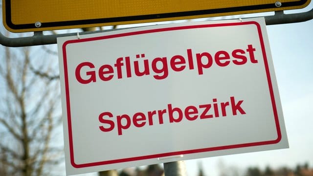 Noch immer werden nahezu täglich neue Fälle der Vogelgrippe gemeldet.