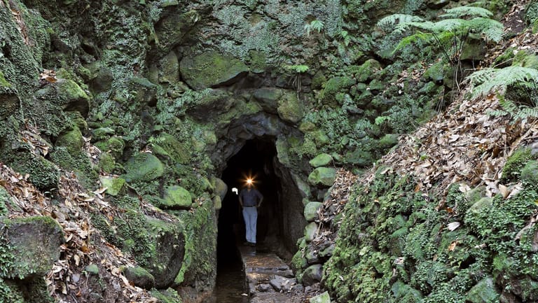 Die Levada Caldeirão Verde fließt durch einen Tunnel