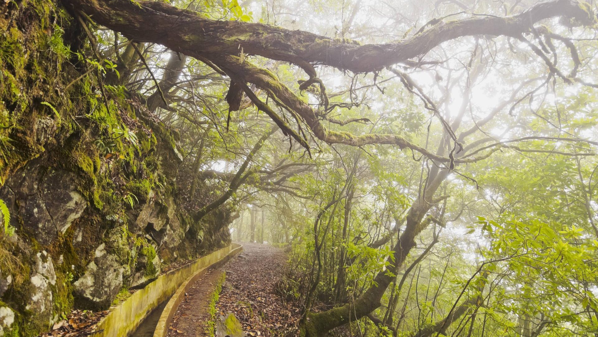 Achtung, rutschig! Die Levada von Ribeiro Frio nach Portela