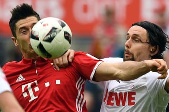 Ex-Dortmunder unter sich: Kölns Neven Subotic (re.) und Bayern-Torjäger Robert Lewandowski beim Zweikampf.