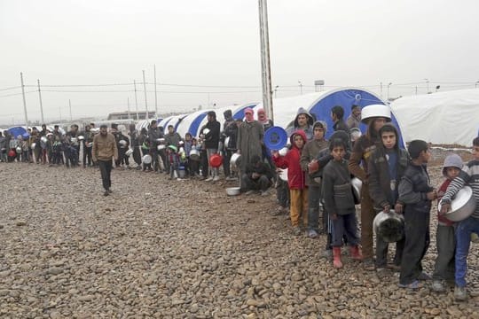 Die Internationale Organisation für Migration geht von 206.