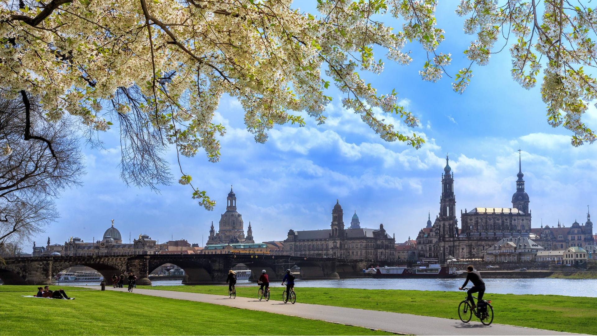 Der Elberadweg führt über das Königsufer mit dem berühmten Canaletto-Blick