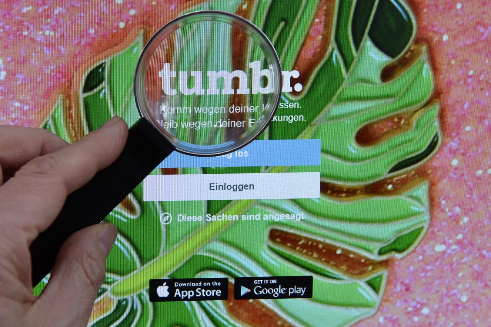 tumblr Bildschim Lupe tumblr website Bildschim Lupe