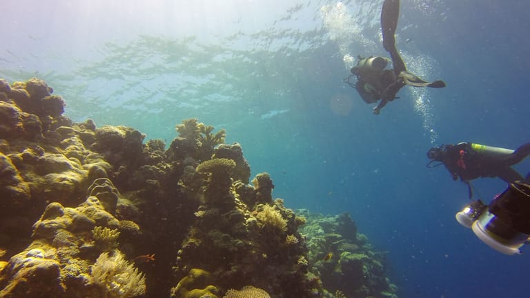 Tauchgang in der Südsee: Auch attraktive Korallenriffe sind nicht immer ein Touristenmagnet