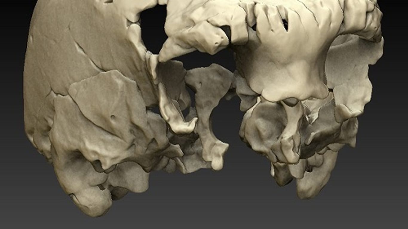 Wissenschaftler haben einen 400.000 Jahre alten Menschenschädel virtuell rekonstruiert.