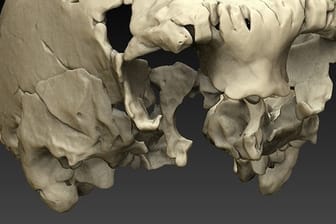 Wissenschaftler haben einen 400.000 Jahre alten Menschenschädel virtuell rekonstruiert.