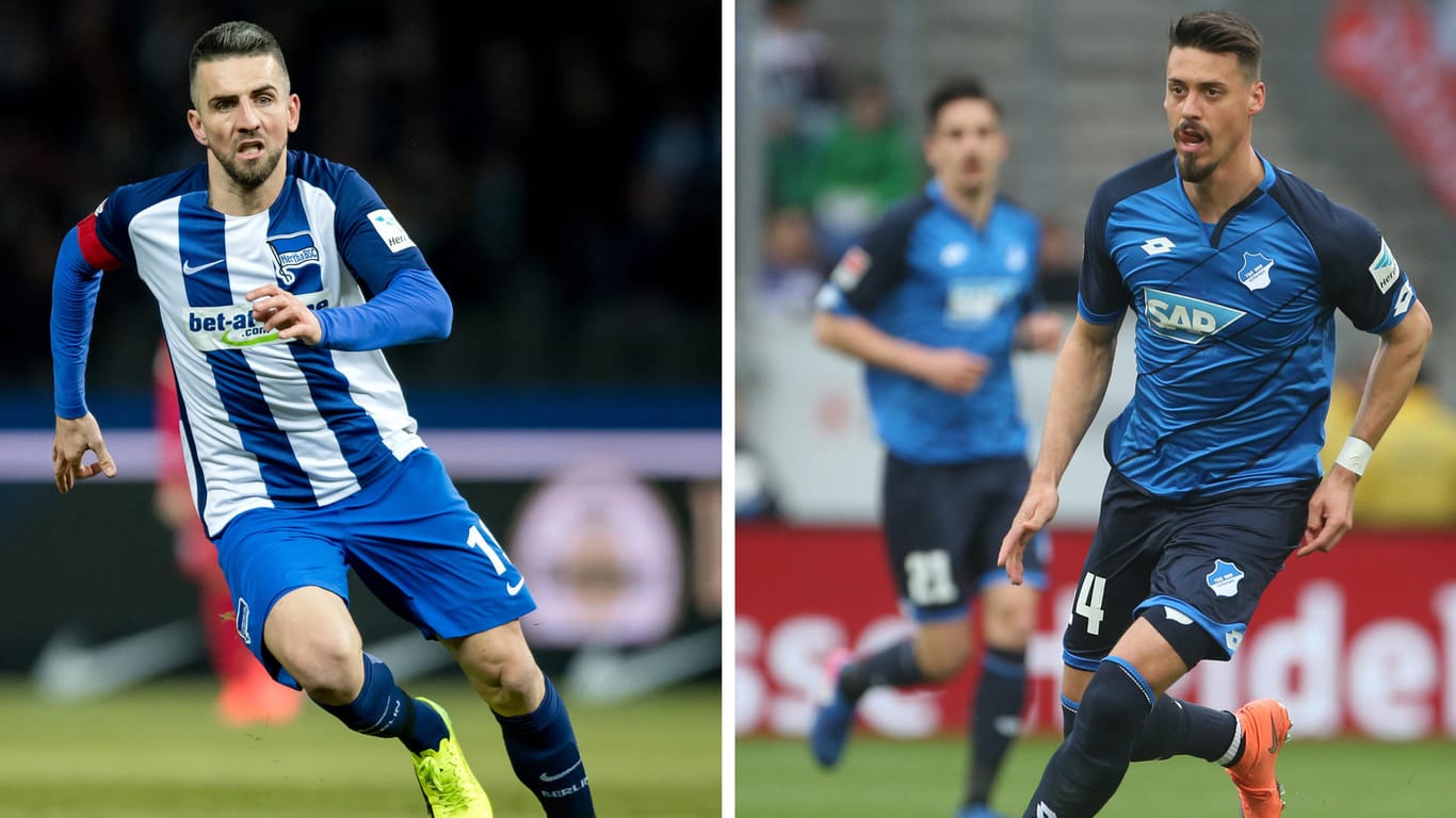 Duell der Topstürmer von Hertha und Hoffenheim: Vedad Ibisevic gegen Sandro Wagner