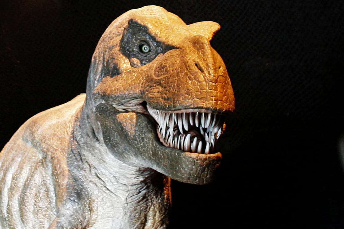 T-Rex konnte auch ein Kuschel-Dino sein, behaupten Forscher.