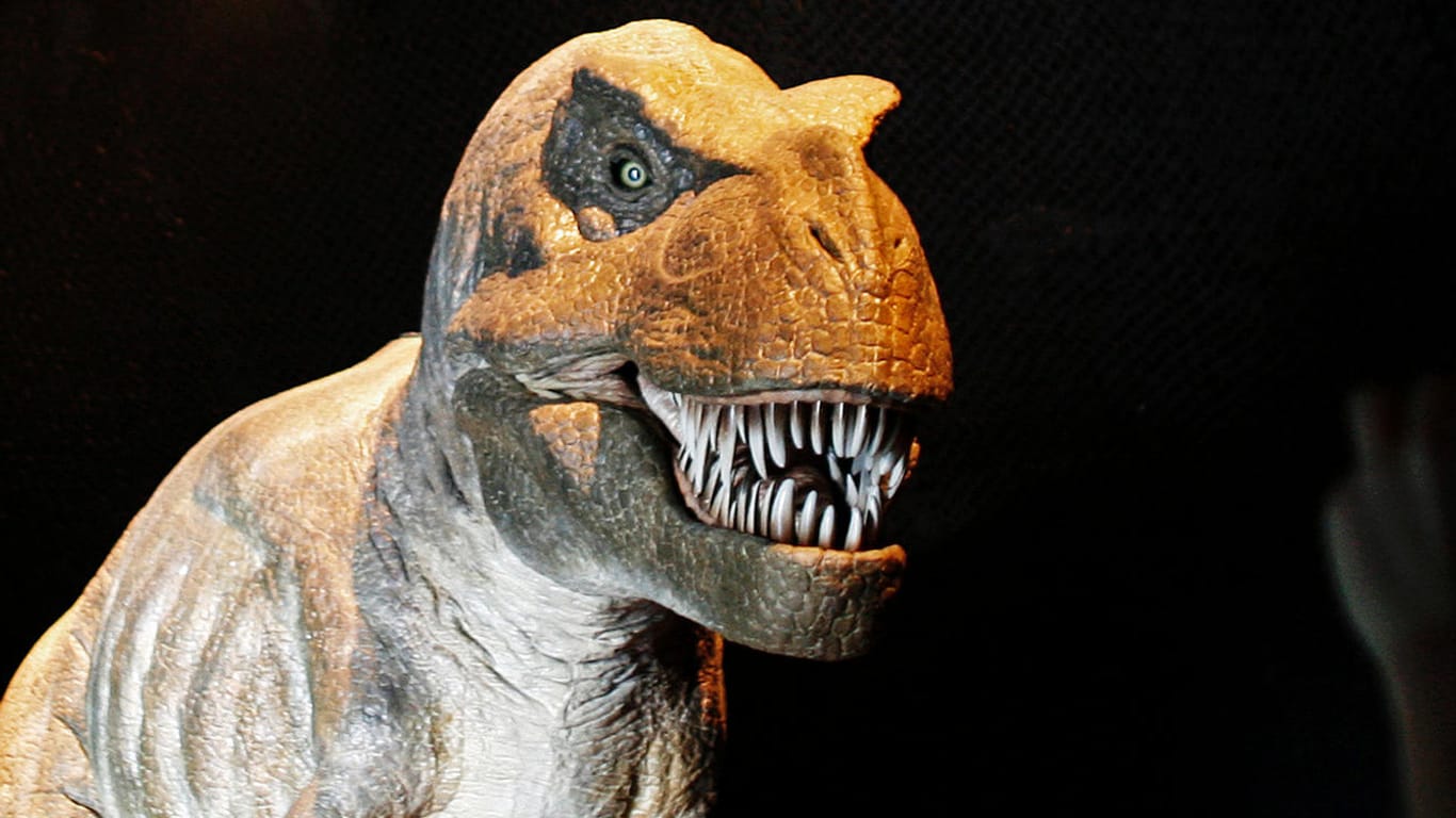 T-Rex konnte auch ein Kuschel-Dino sein, behaupten Forscher.