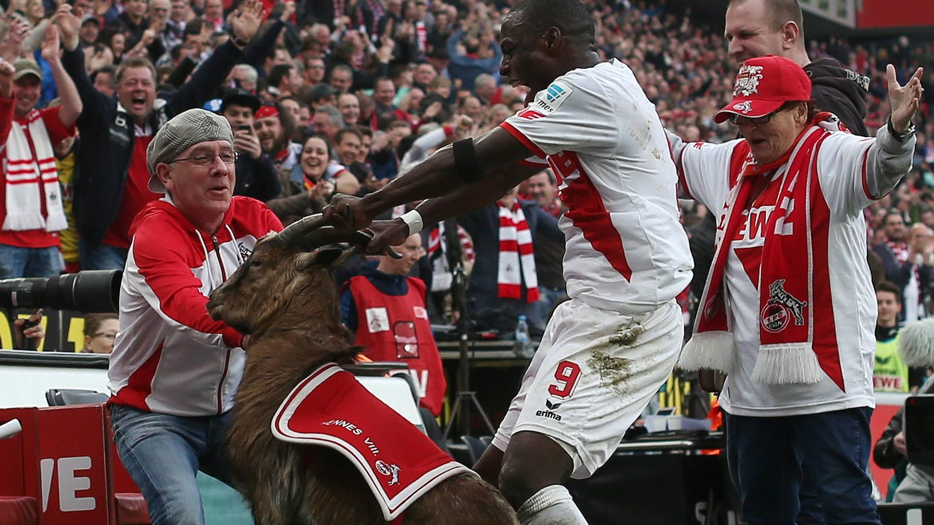Nach seinem Jubel mit Geißbock "Hennes" stand Anthony Ujah in der Kritik.