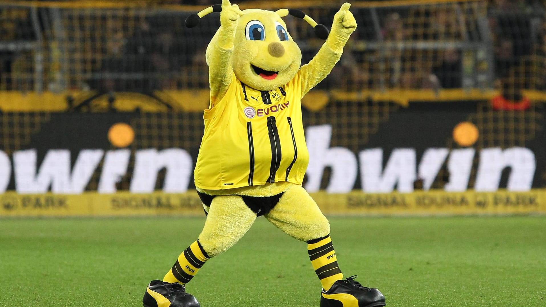 Maskottchen "Emma" ging vor einem Spiel gegen den FC Bayern etwas zu weit.