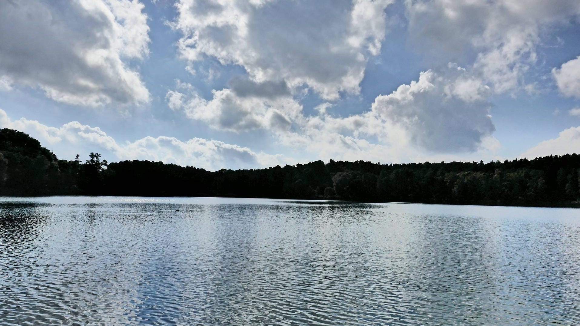 Naturaufnahme des See in Buckow in der Märkischen Schweiz im Landkreis Märkisch Oderland in Brandenburg