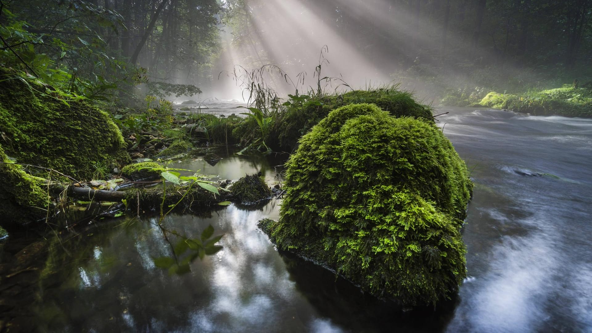 Waldbach bei Sonnenaufgang in der Vogtländischen Schweiz