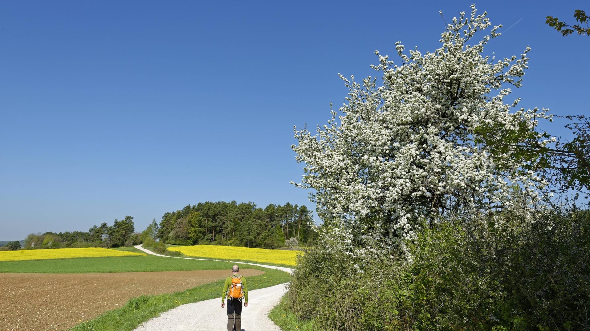 Wanderer in der Fränkischen Schweiz