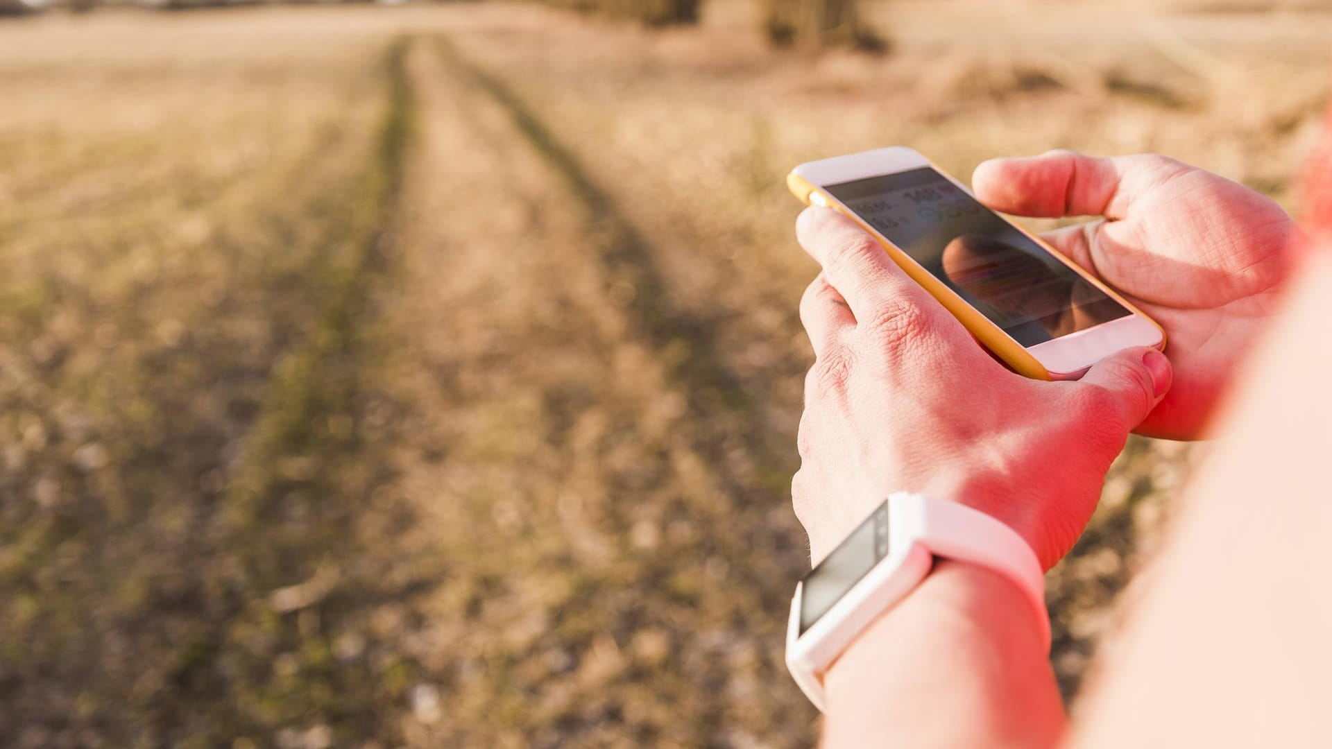 Athlete in rural landscape checking data on cell phone model released Symbolfoto property released P