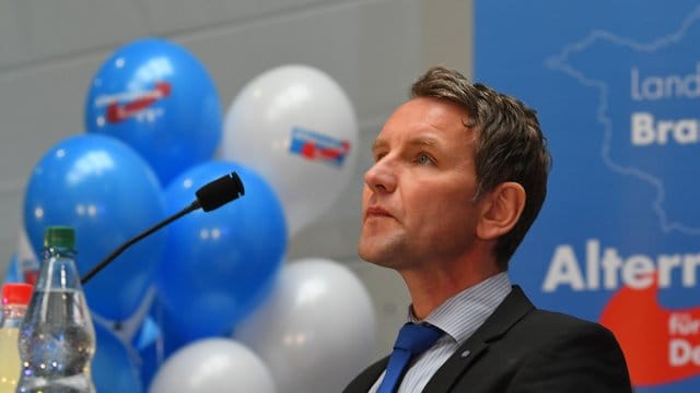 Björn Höcke, der Fraktionsvorsitzende der AfD im Thüringer Landtag, beim Landesparteitag der AFD in Frankfurt am Main.