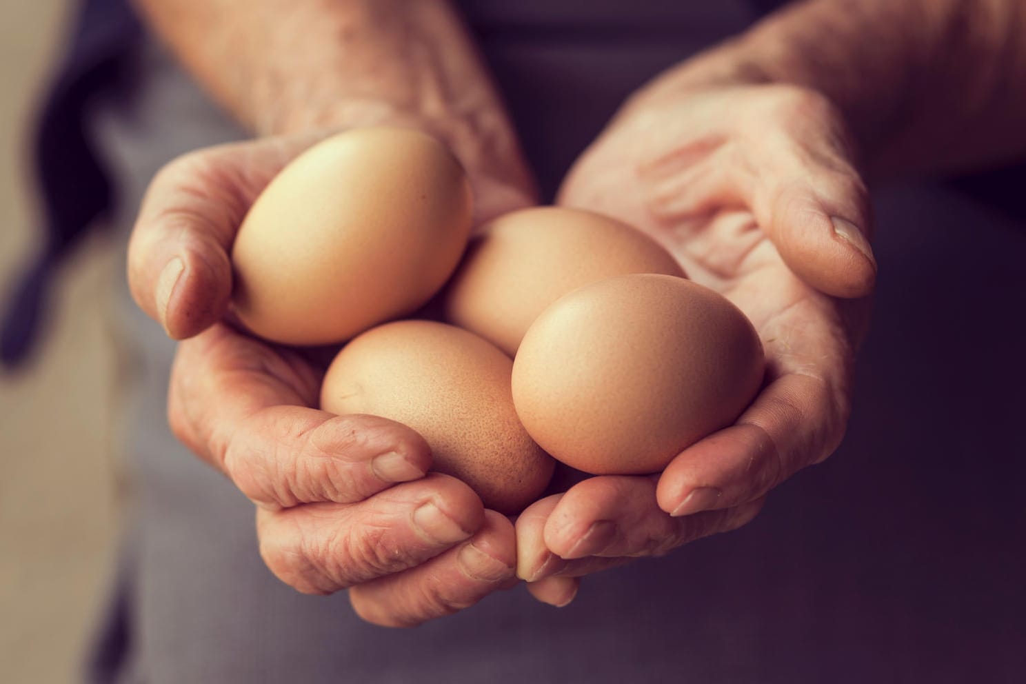 Eine Studie belegt nun, dass es einige Argumente für Bioeier gibt