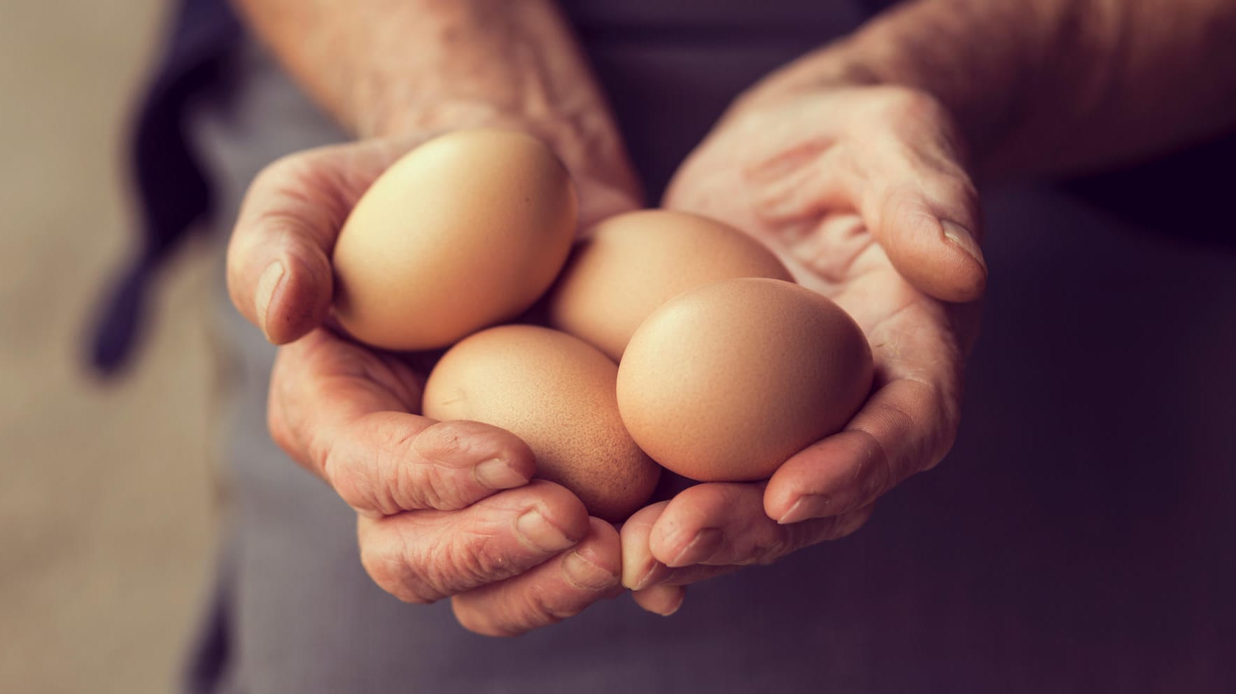 Eine Studie belegt nun, dass es einige Argumente für Bioeier gibt