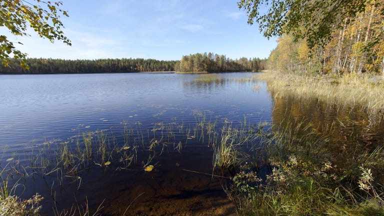 Finnland Nord Karelia Kuhmo See in der Taiga