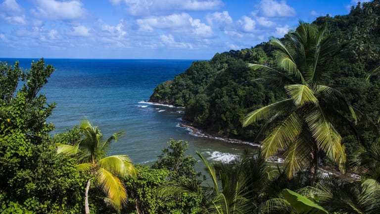 Pagua Bay in Dominica West Indies Karibik Zentral-Amerika