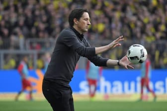 Schnappt sich der holländische Fußballverband Roger Schmidt? Er musste im März in Leverkusen gehen.