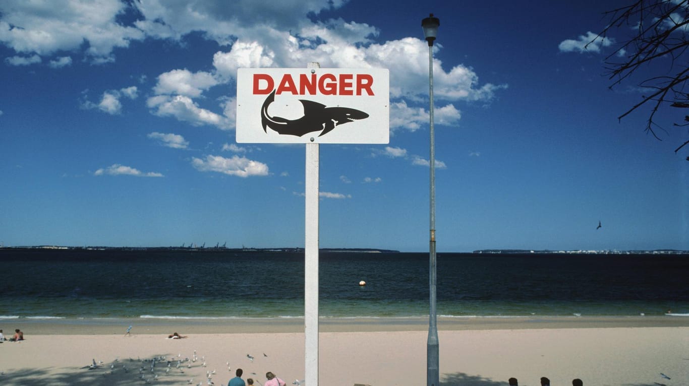 Für Surfer besonders wichtig: Ein Schild an einem Strand in Sydney warnt vor Haien.